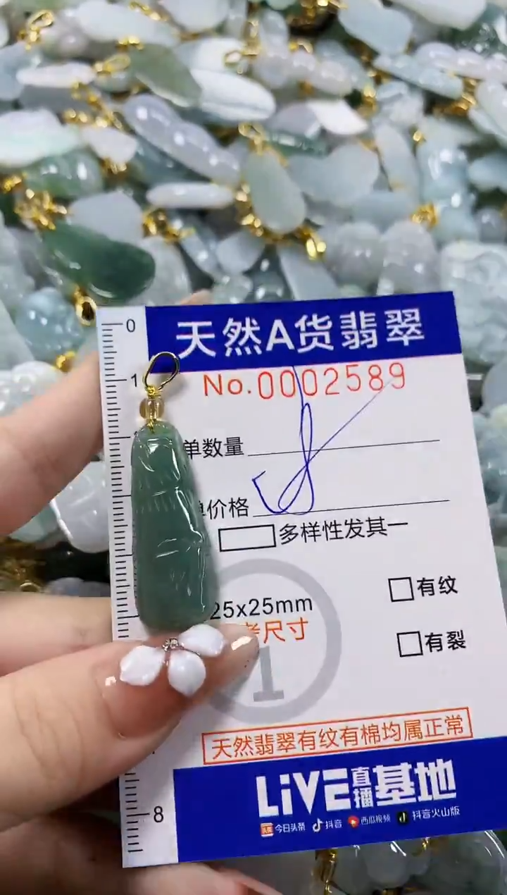 颈饰未镶嵌翡翠天然A货翡翠