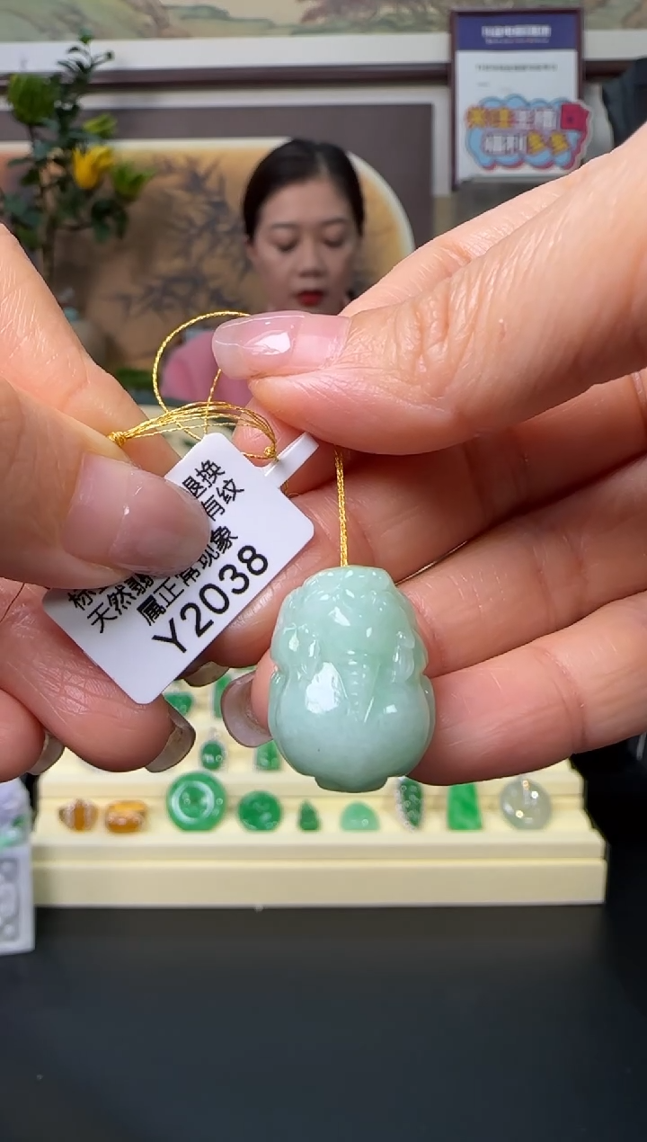 颈饰未镶嵌翡翠Y2038 貔貅福利不退不换