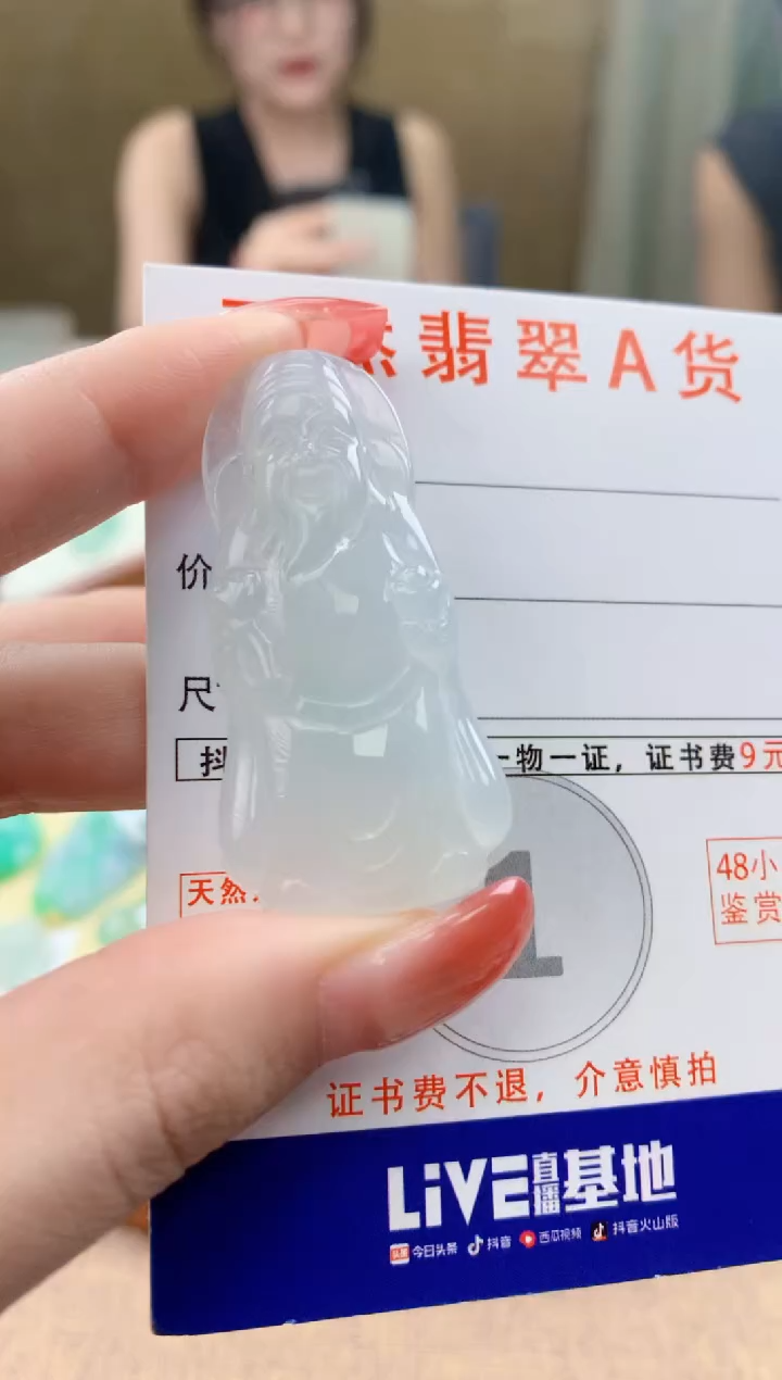 颈饰未镶嵌翡翠天然A货翡翠挂件