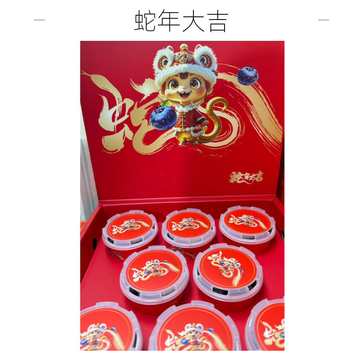 【蛇年大吉】L25新年款蓝莓一件8杯