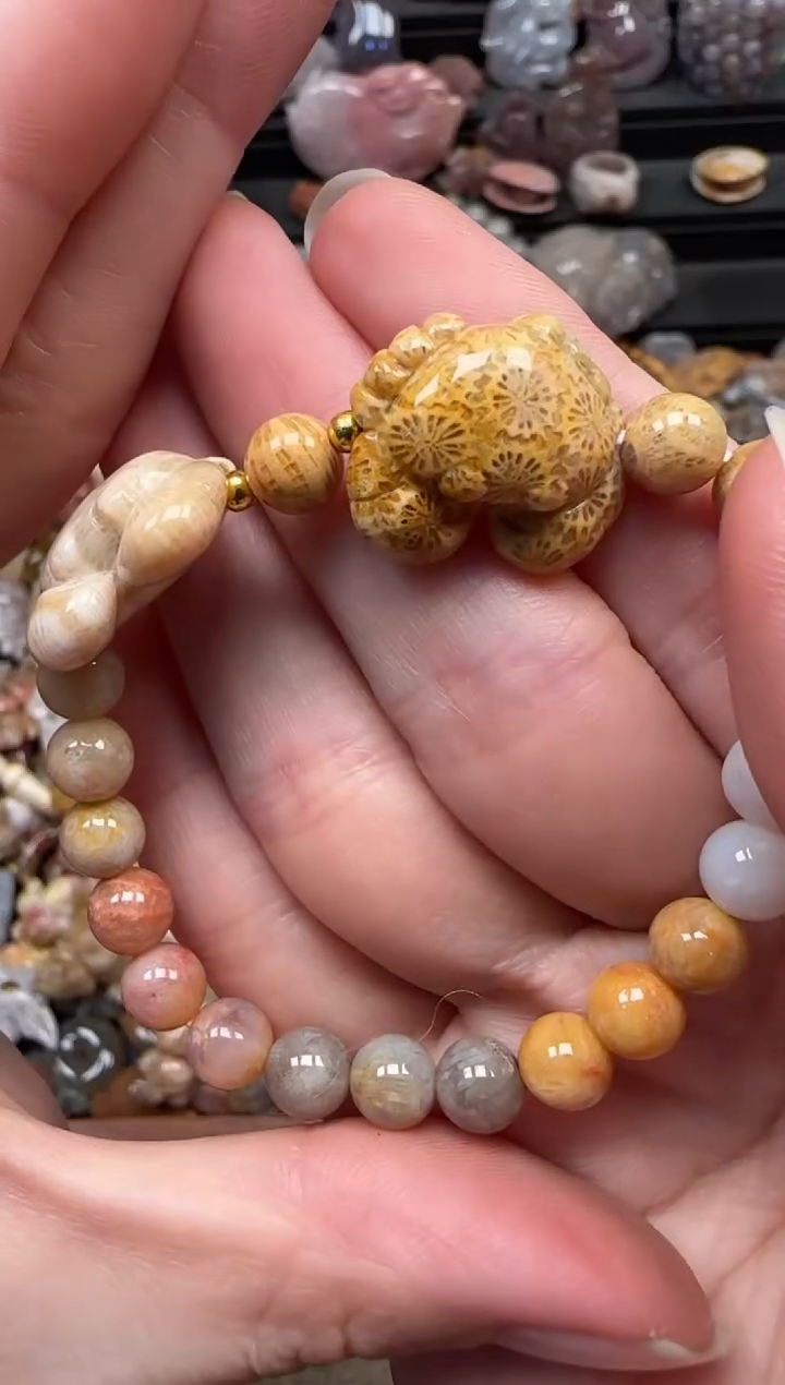 颈饰未镶嵌硅化珊瑚（珊瑚玉）225