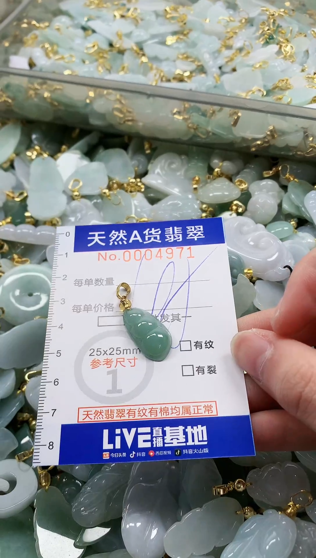 颈饰未镶嵌翡翠纯天然a货翡翠