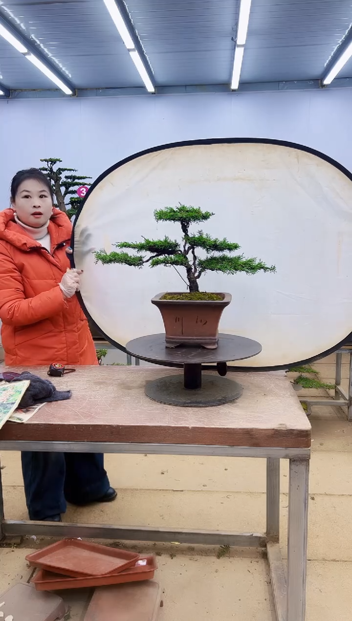 无花朵一物一拍，所见即所得