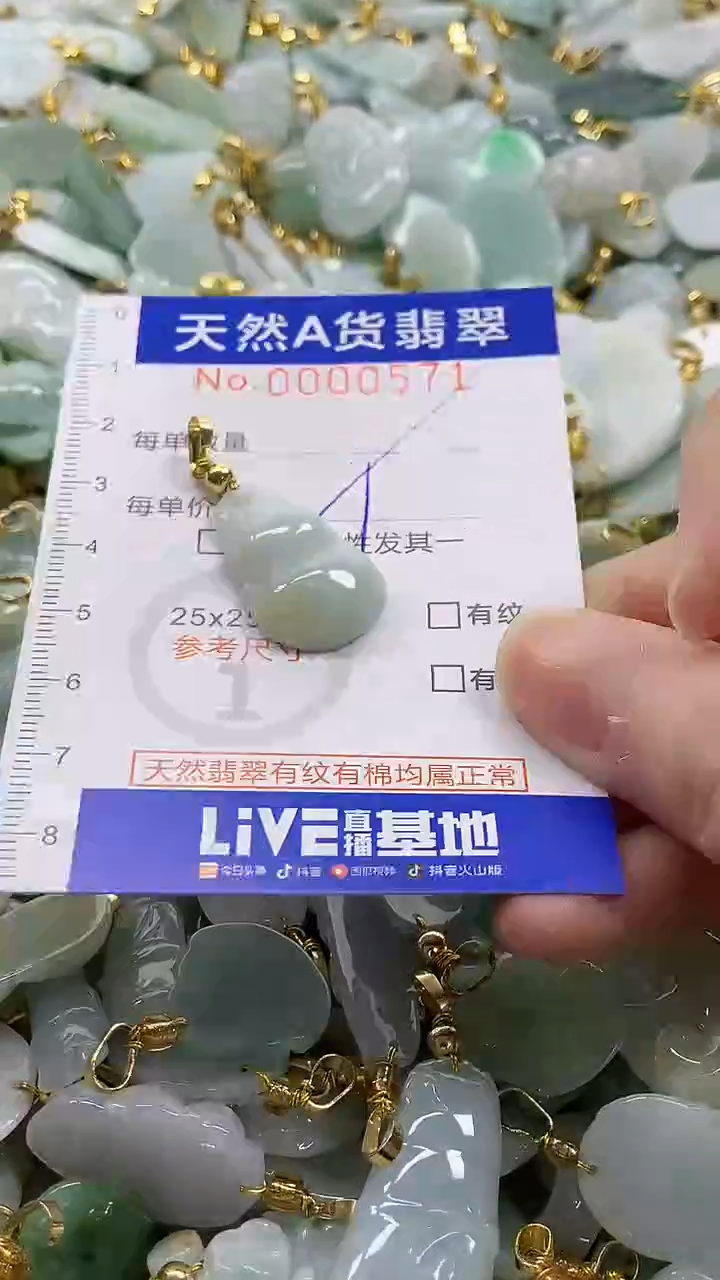 颈饰未镶嵌翡翠纯天然a货翡翠