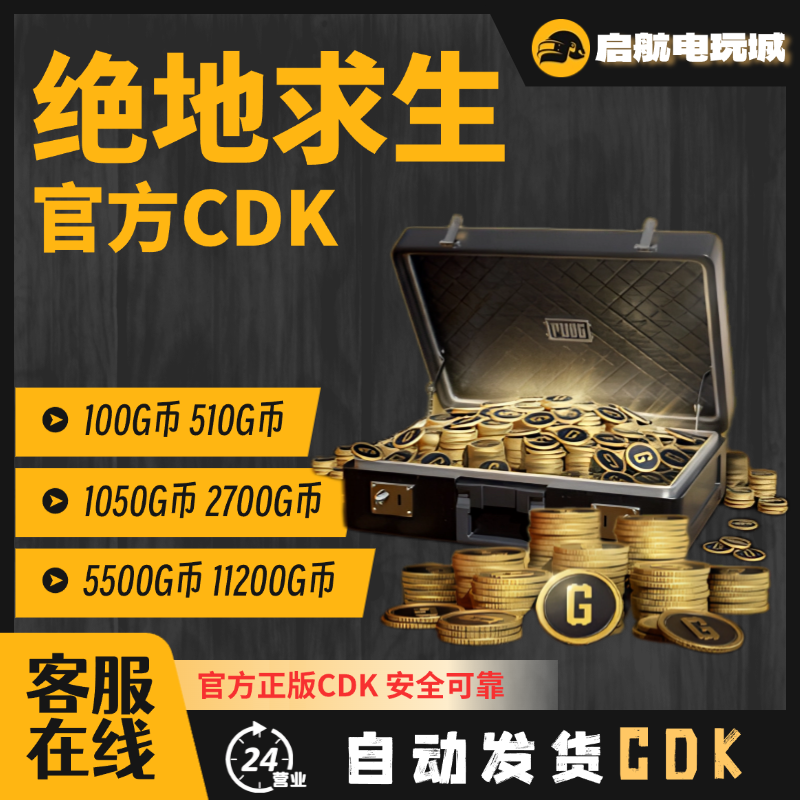 steam绝地求生pubg金币G-CoinG币GB官方CDK兑换码激活码代充24H发