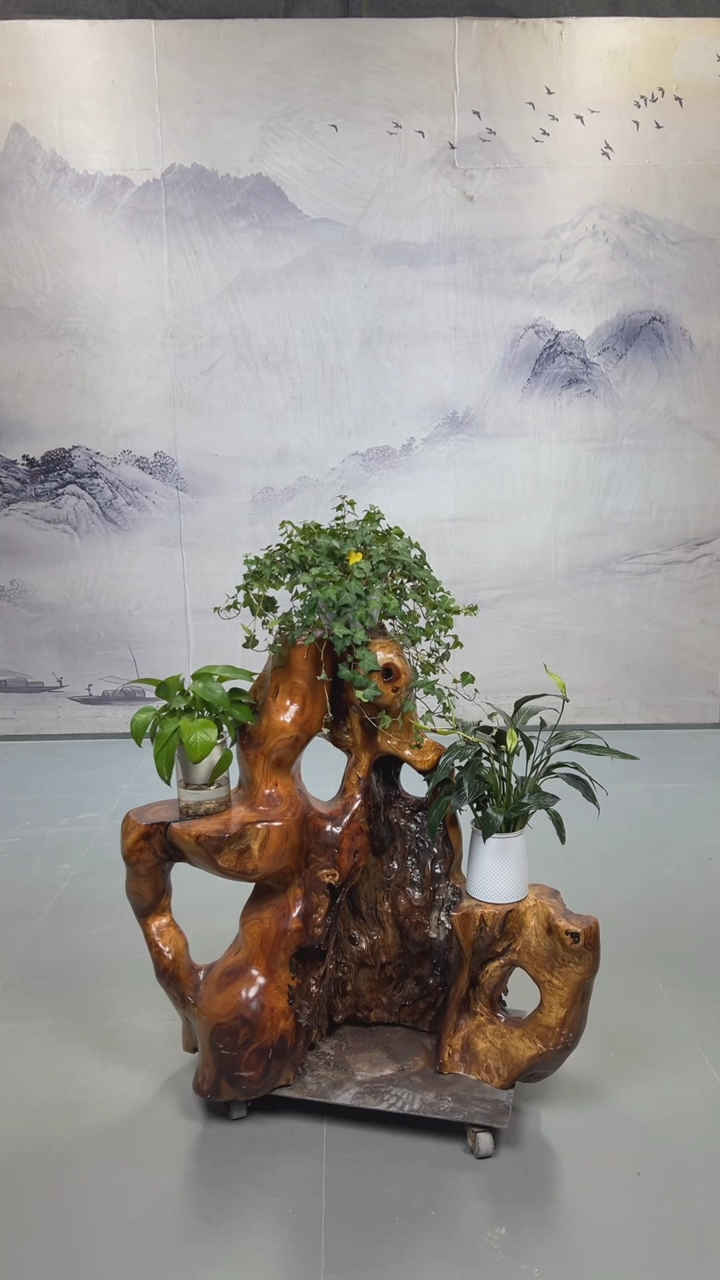 【闪购商品】香樟木香樟木树根根位花架