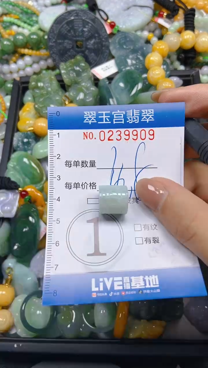 颈饰未镶嵌翡翠闪购C0239909