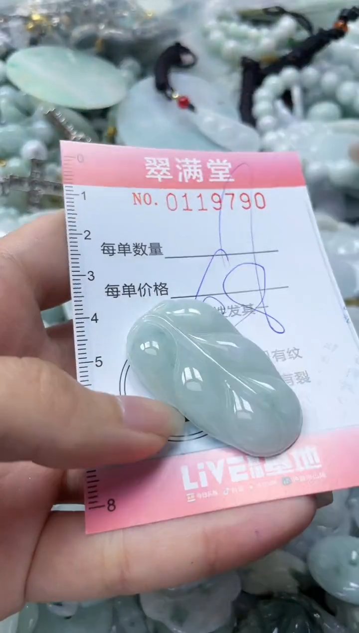 【闪购商品】翡翠未镶嵌颈饰闪购0119790