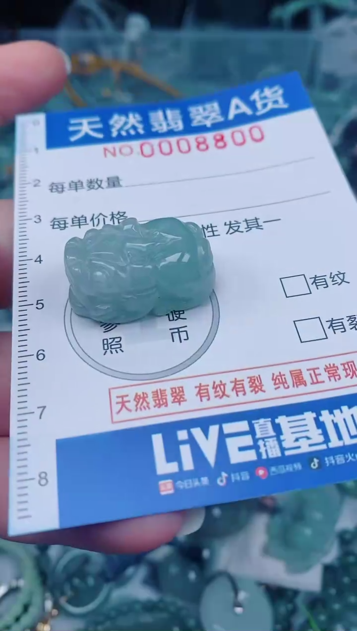 颈饰未镶嵌翡翠00008800