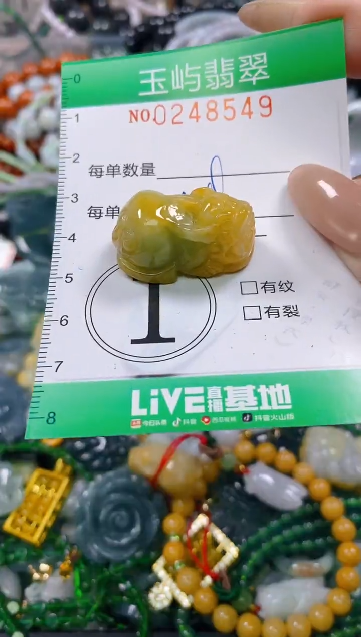 颈饰未镶嵌翡翠闪购0248549