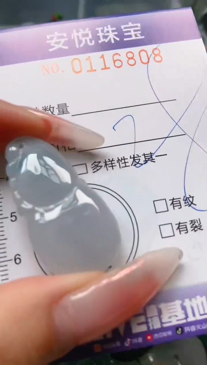 【闪购商品】翡翠颈饰未镶嵌闪购0116808