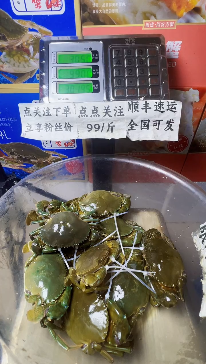 中国大陆꧁****꧂福建漳州青蟹