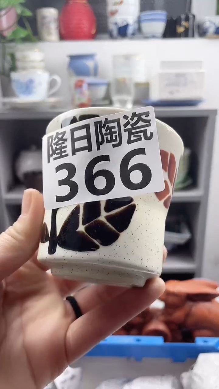 【闪购商品】瓷片366longritaoci