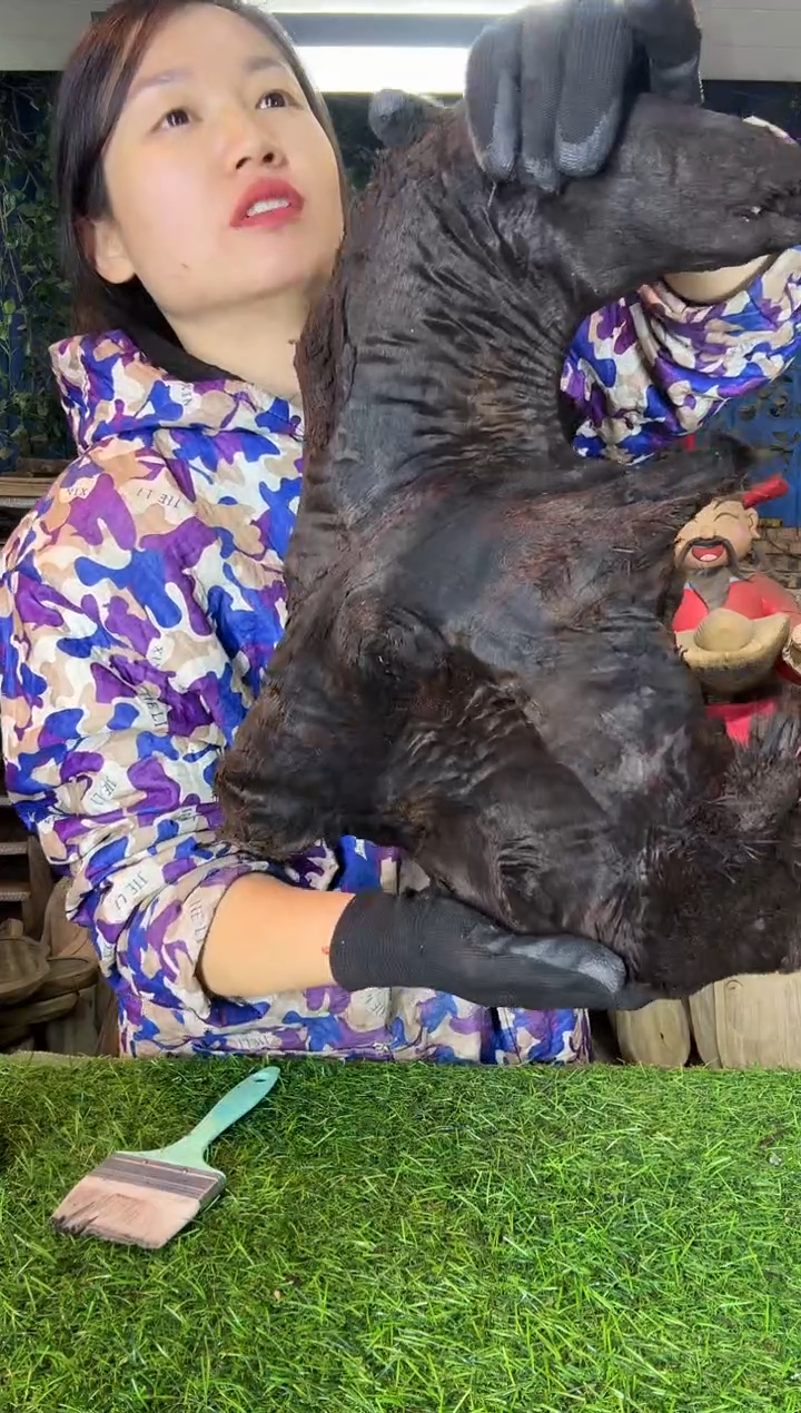 金丝楠小叶桢楠79