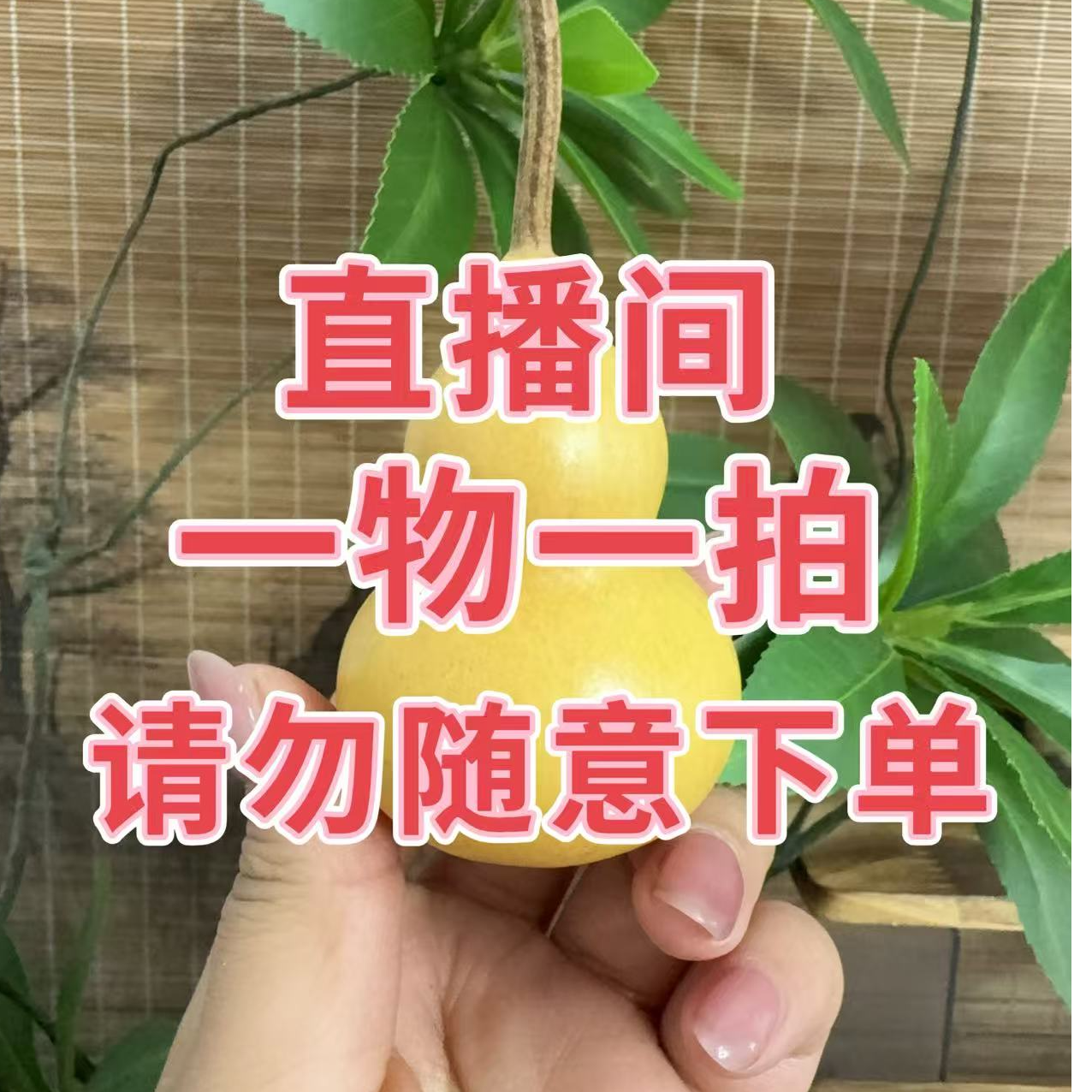 天然小葫芦手把件摆件手盘葫芦（一物一拍）