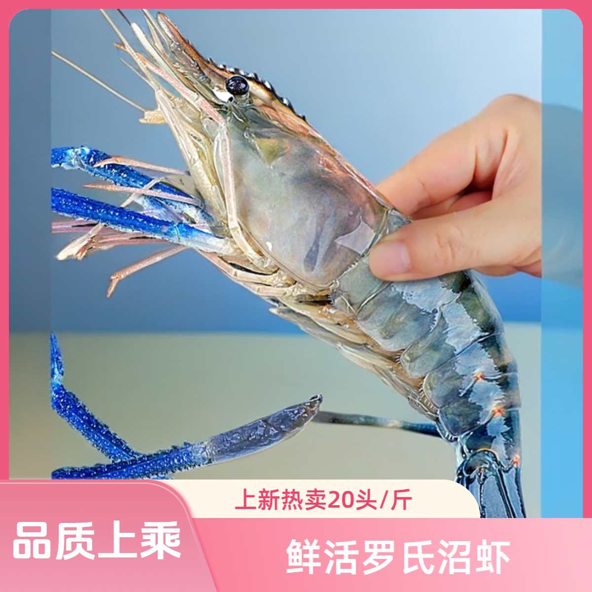 罗氏沼虾鲜活个大肉多美味香甜