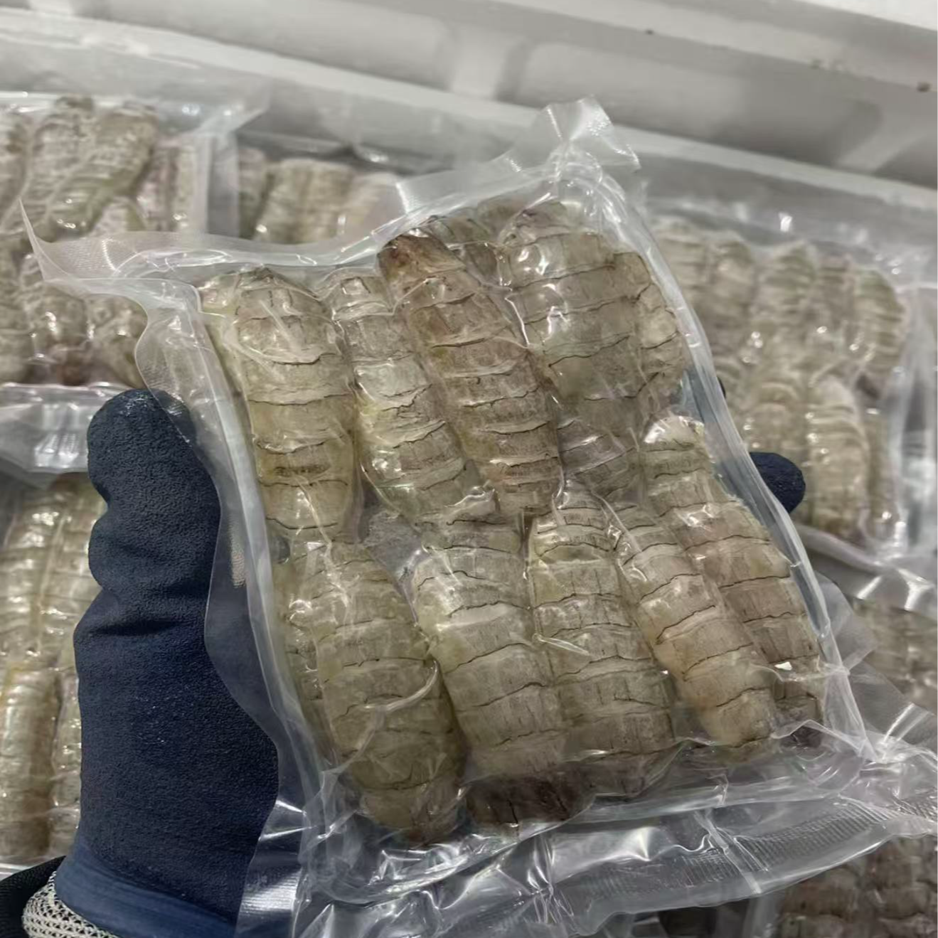 【岛里货】手工现剥渔船海捕去壳鲜美嫩滑皮皮虾肉虾爬肉饺子馅