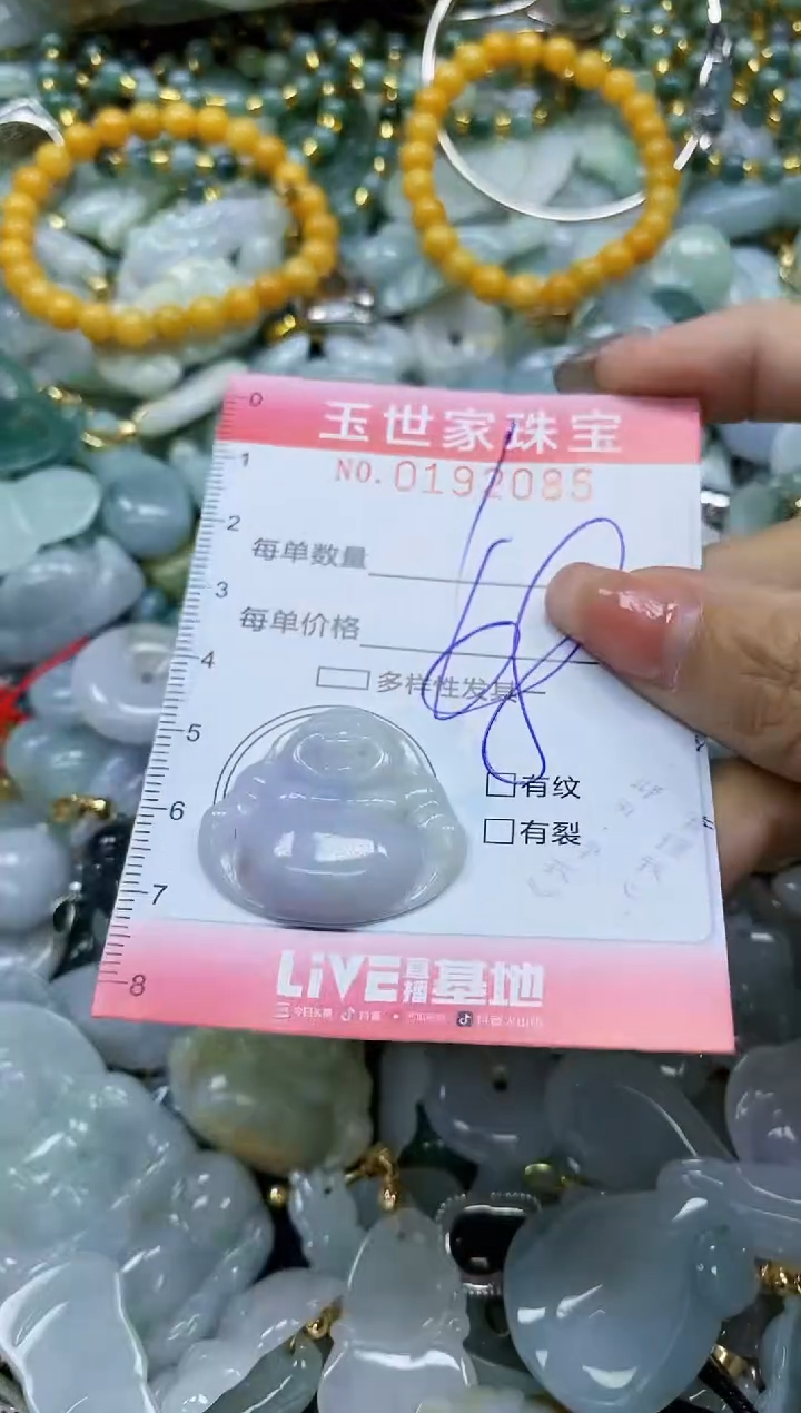 【闪购商品】翡翠颈饰未镶嵌闪购0192085