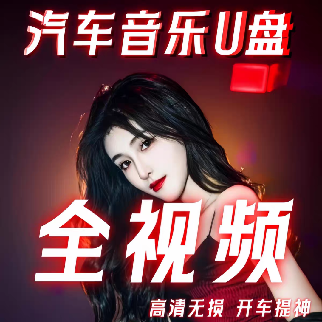 2025高清版无损音质视频带歌词 抖音热歌劲爆DJ经典dj车载音乐U盘