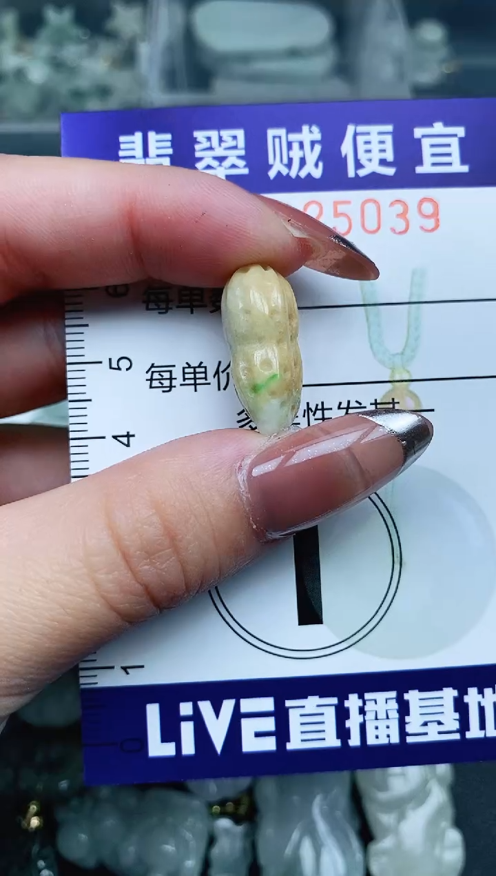 翡翠未镶嵌颈饰Y闪购0025039