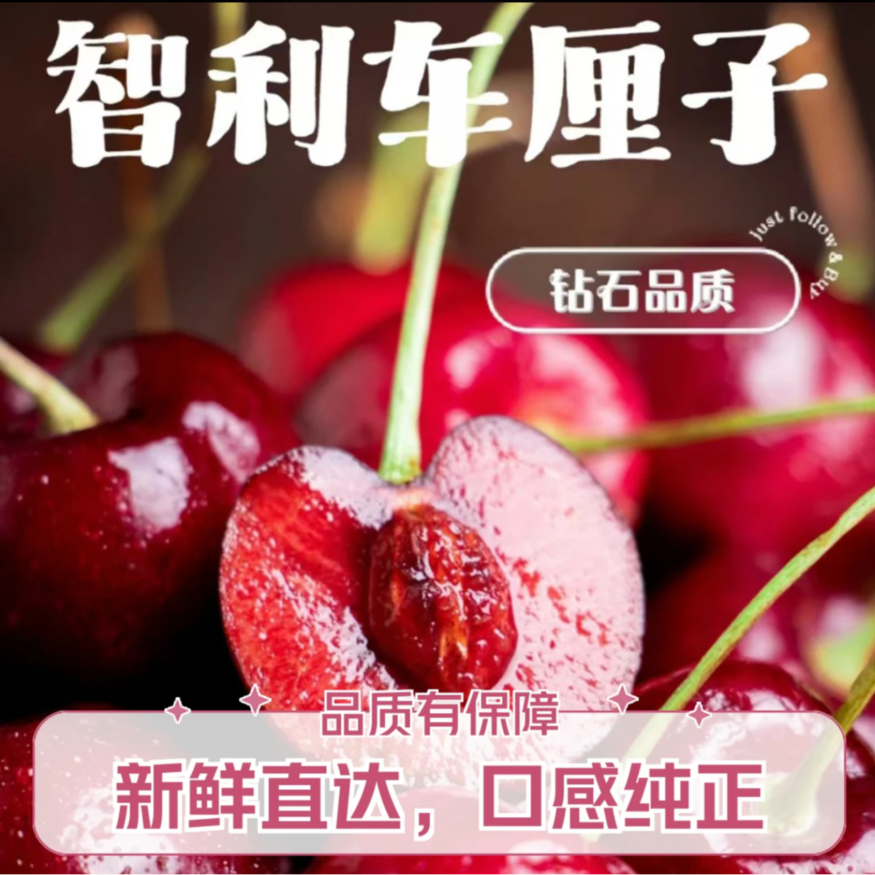 【车厘子】智利2J车厘子 桑提娜（空运）500g-2000g桑提娜马来西亚