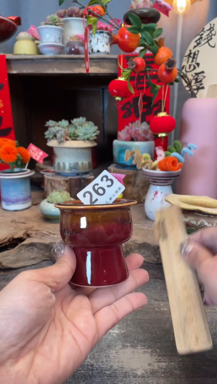 【闪购商品】摆件263知木小芳花盆编号