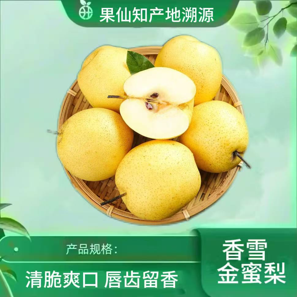【香雪金蜜梨-清脆爽口/份/4斤左右】山西省