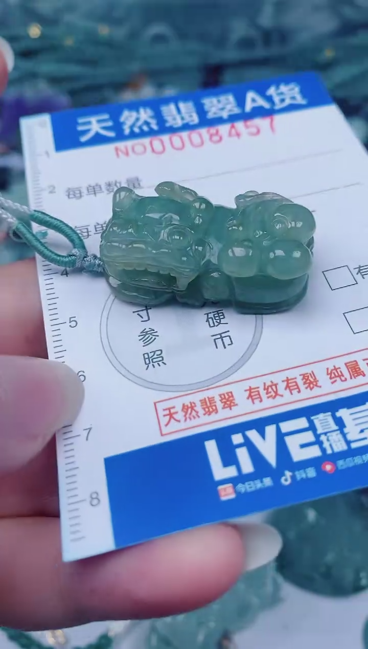 颈饰未镶嵌翡翠00008457