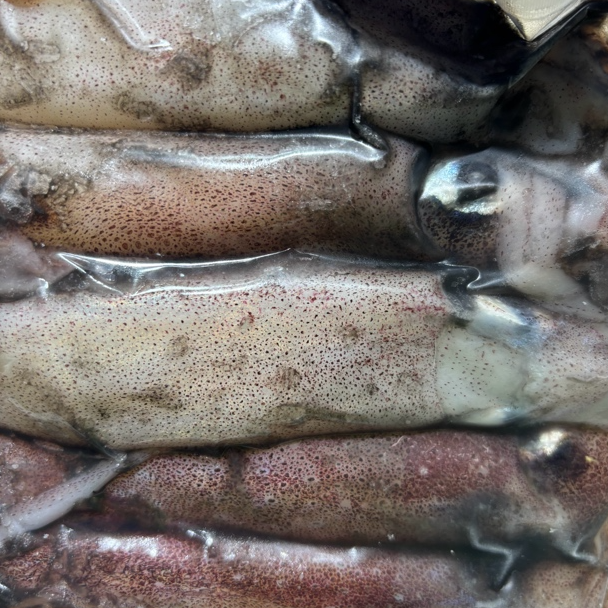 （冻）火箭鱿鱼四斤包邮顺丰