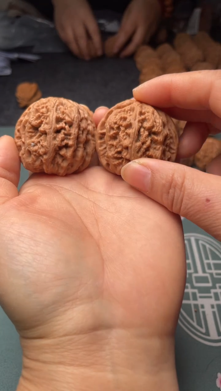 把件文玩核桃w53  粗筋 42 尺