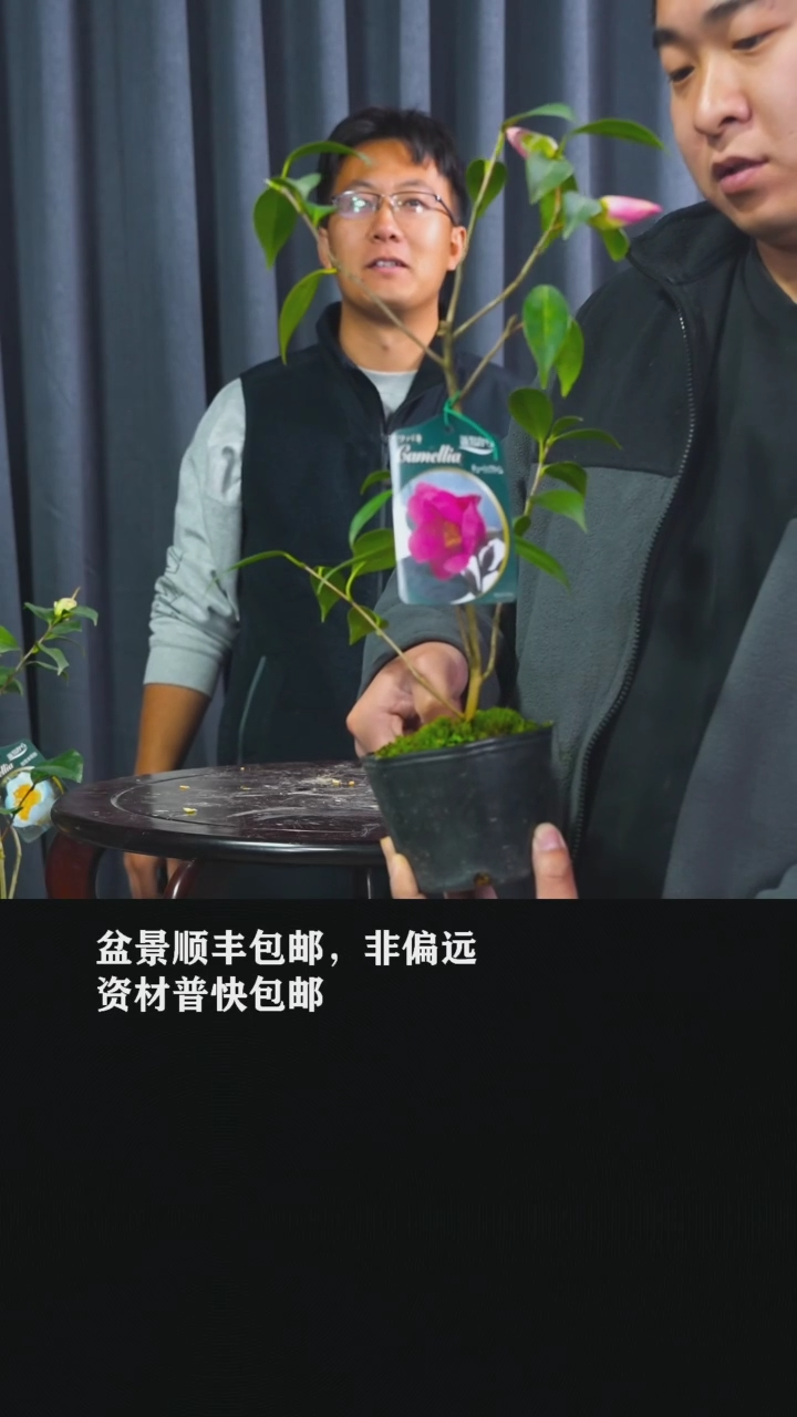 【闪购商品】椿-BB98