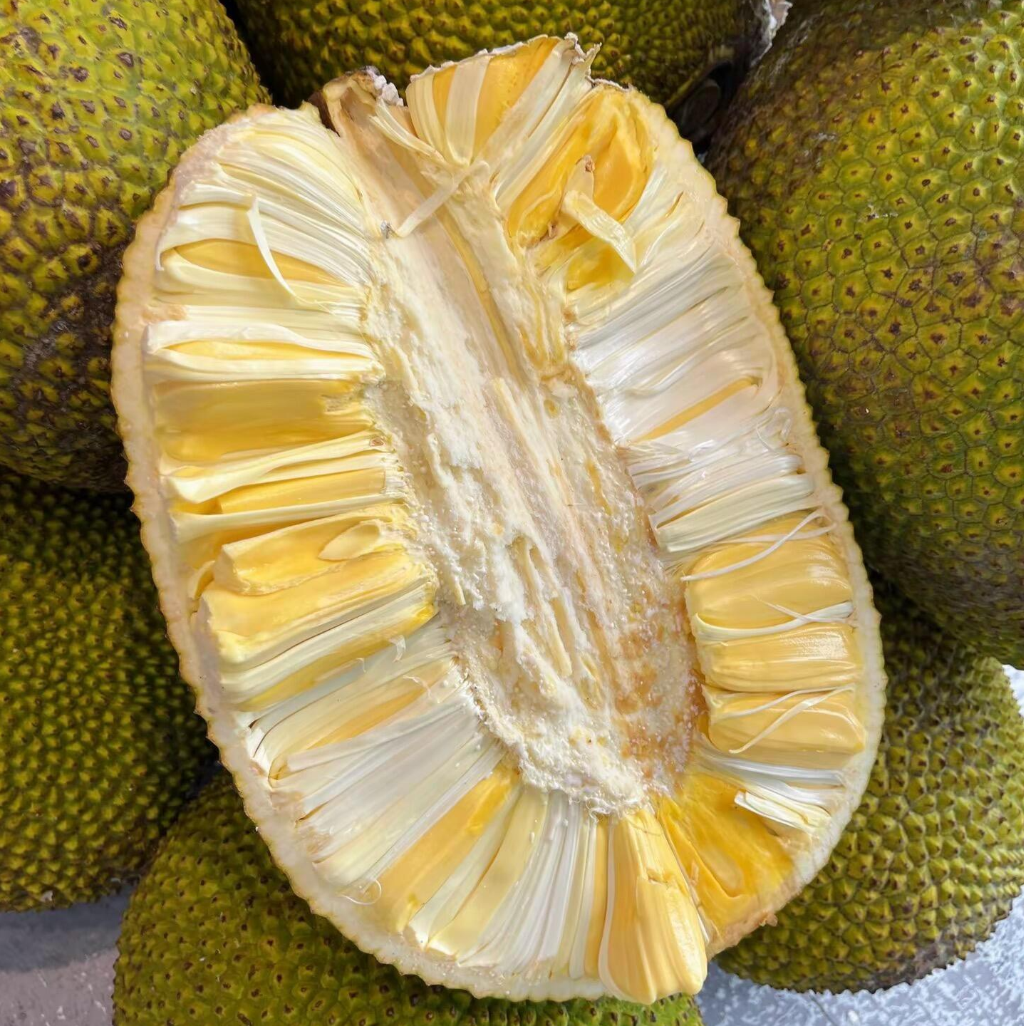【海鑫甄选】越南进口菠萝蜜一整个现发干包脆甜京东包邮黄肉菠萝蜜红肉菠萝蜜越南社会主义共和国