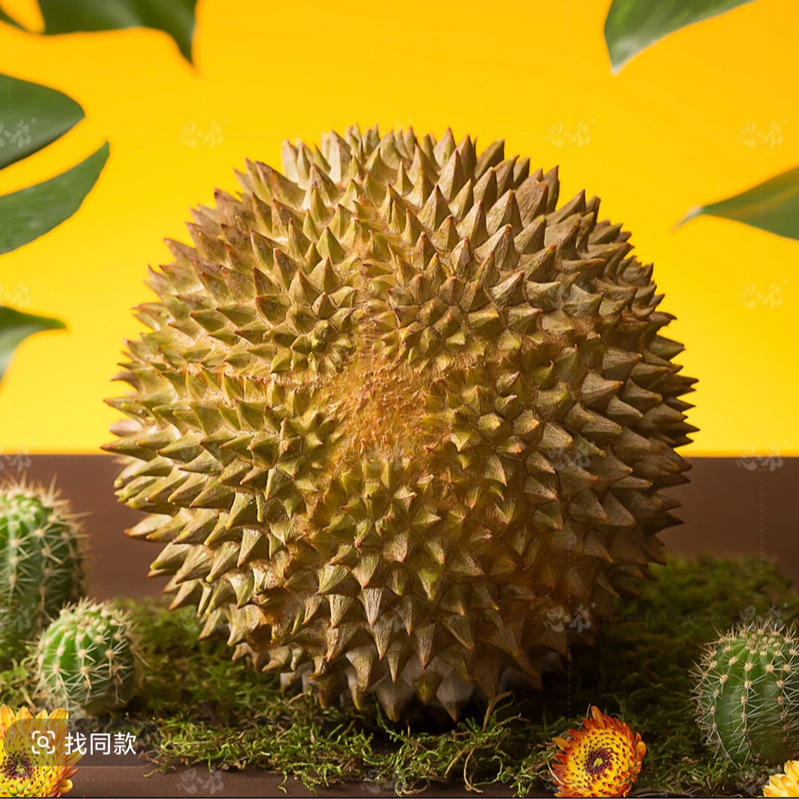 【托曼尼专属】泰国空运树熟托曼尼2-6斤榴莲核大新鲜应季鲜榴莲托曼尼泰国