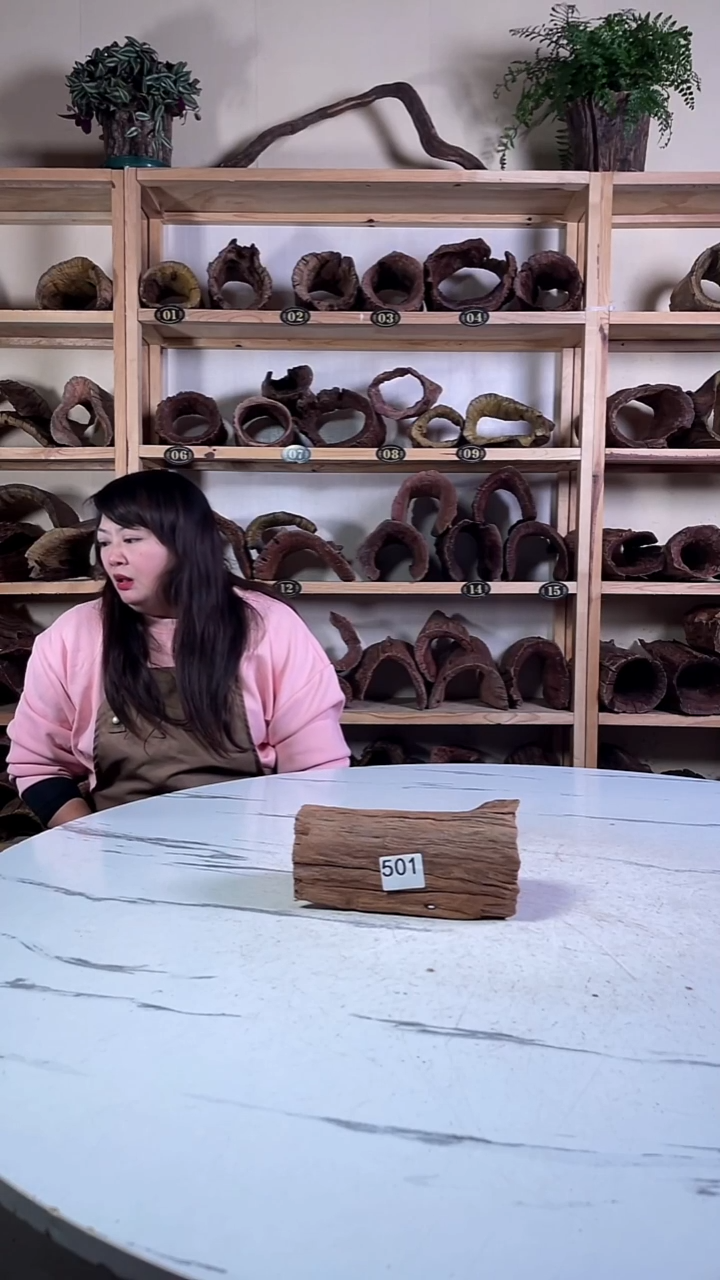 小*子云南紫柚木造景沉木501