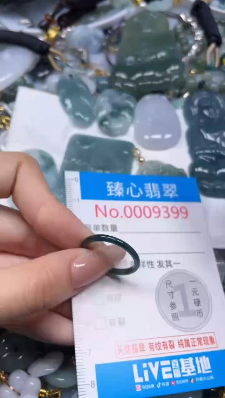 颈饰未镶嵌翡翠9399