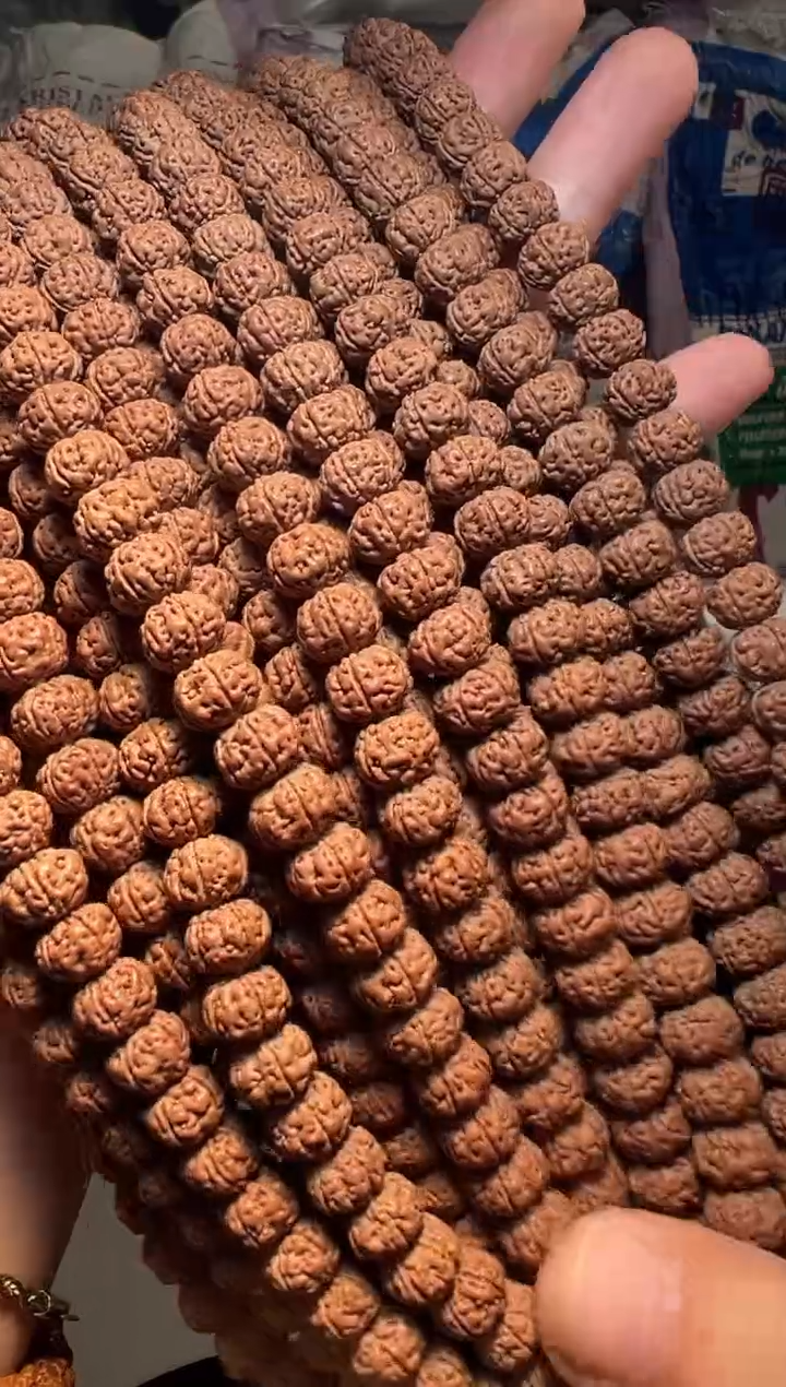 手串金刚菩提无利润超头精挑老树王108-10mm