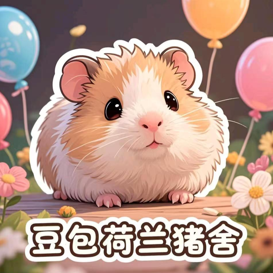 活宠进口荷兰猪加州美泰泰加活体包活包运输