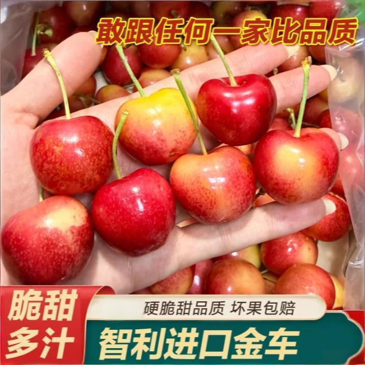 【天空之城斯凯拉雷】顺丰空运 智利车厘子3J礼盒装（内附果径卡）2J