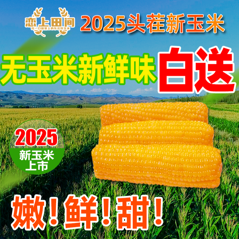 [非转]10根2025东北五常黄糯玉米-非转-坏果包赔试吃2根-铝箔真空