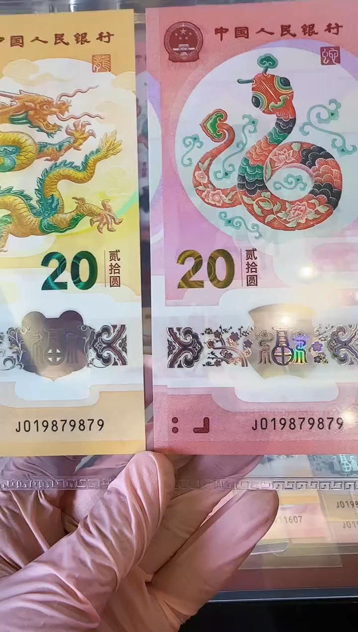 【闪购商品】塑料2025蛇钞全同号019879879裸