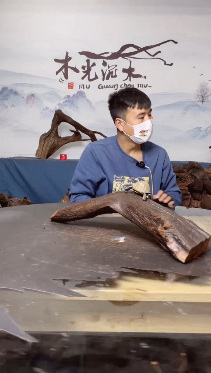 【闪购商品】A760木光沉木木光沉木