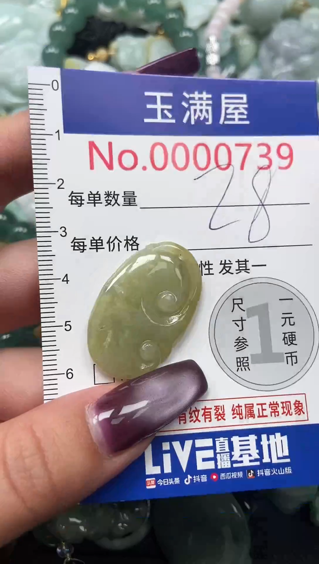 颈饰未镶嵌翡翠739