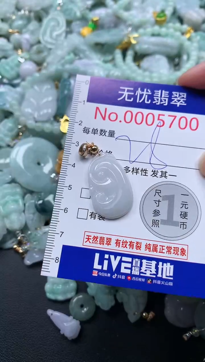 颈饰未镶嵌翡翠5700