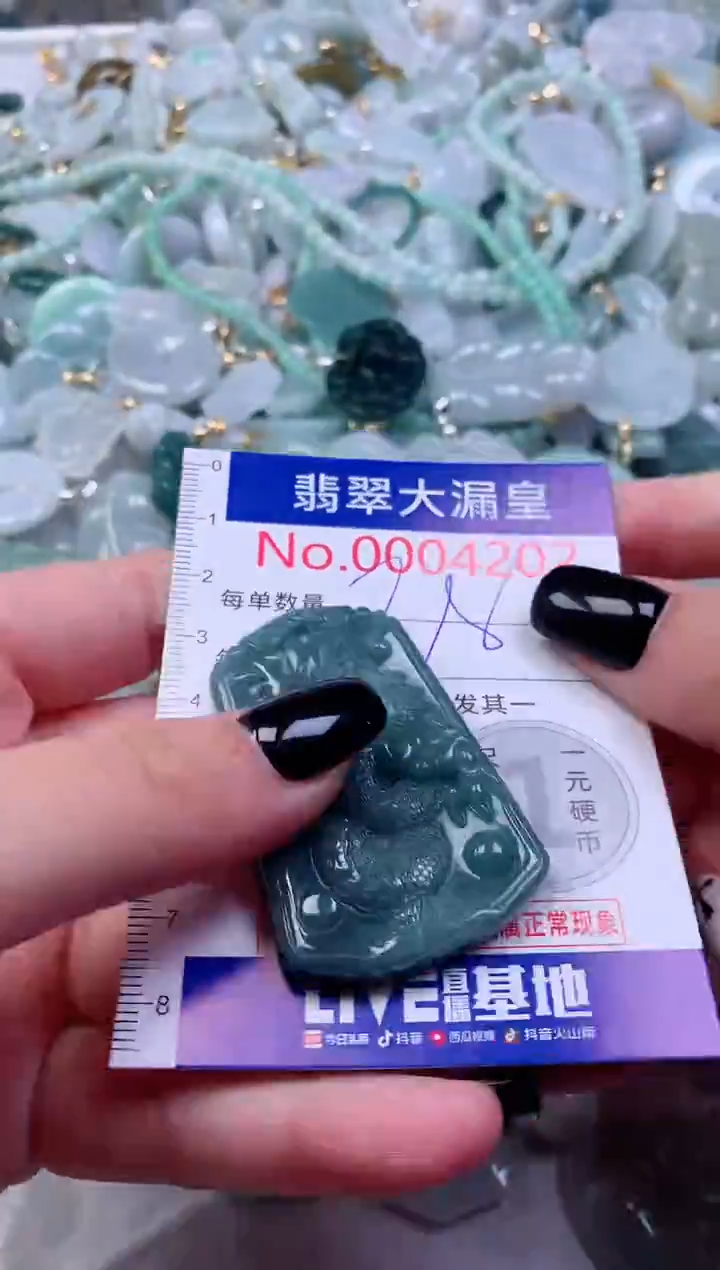 颈饰未镶嵌翡翠4202