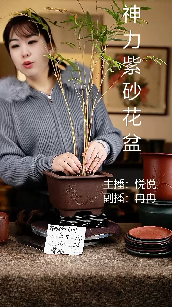 紫砂花盆5011+s花卉工艺