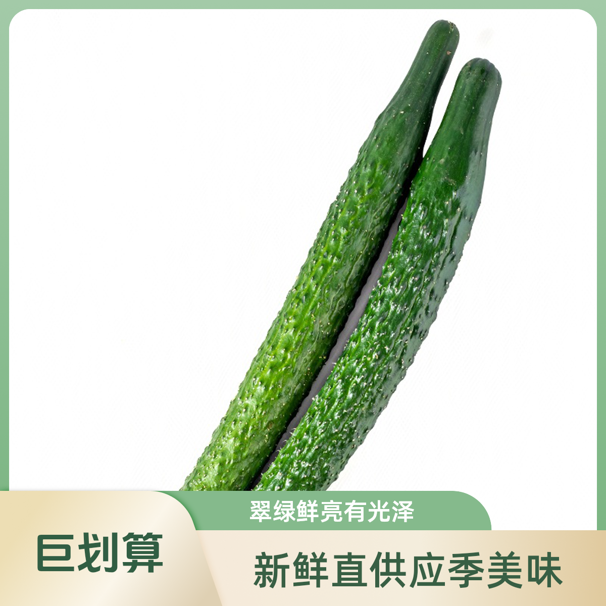 热卖黄瓜 约500g