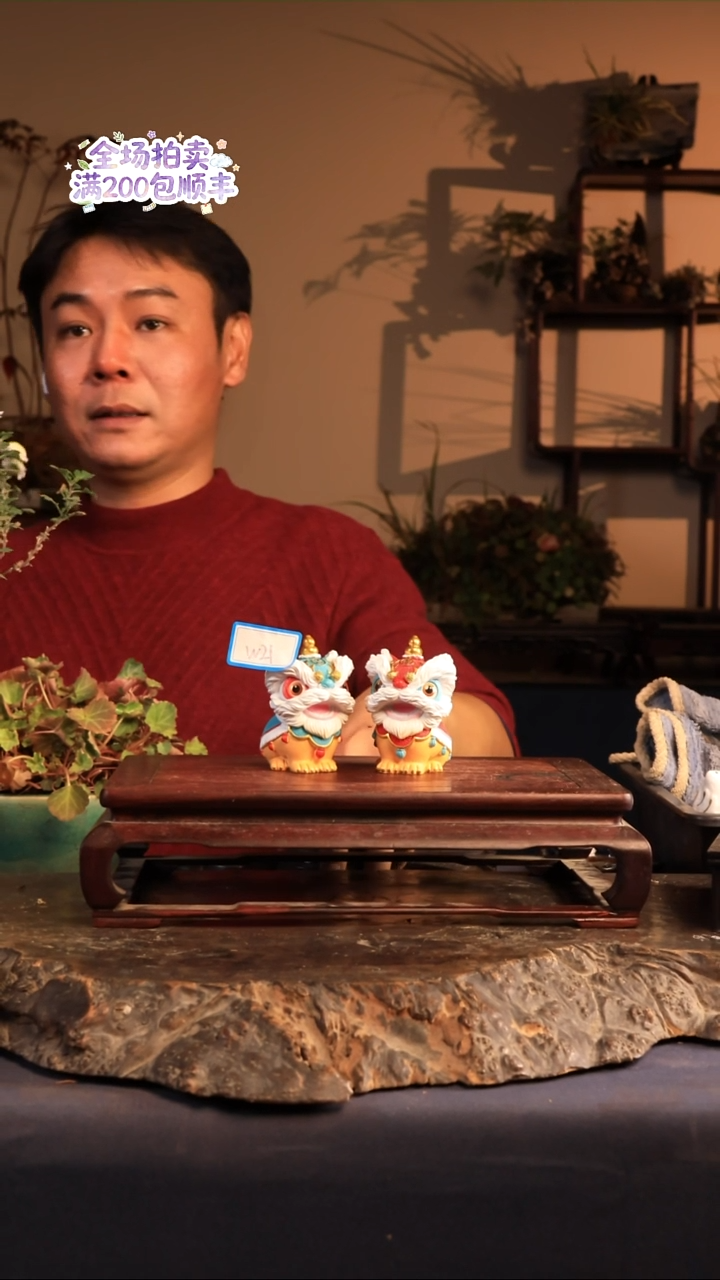 完全开放W21草本植物 不包邮