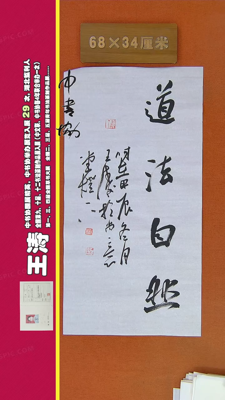 【闪购商品】书法216王涛书法作品