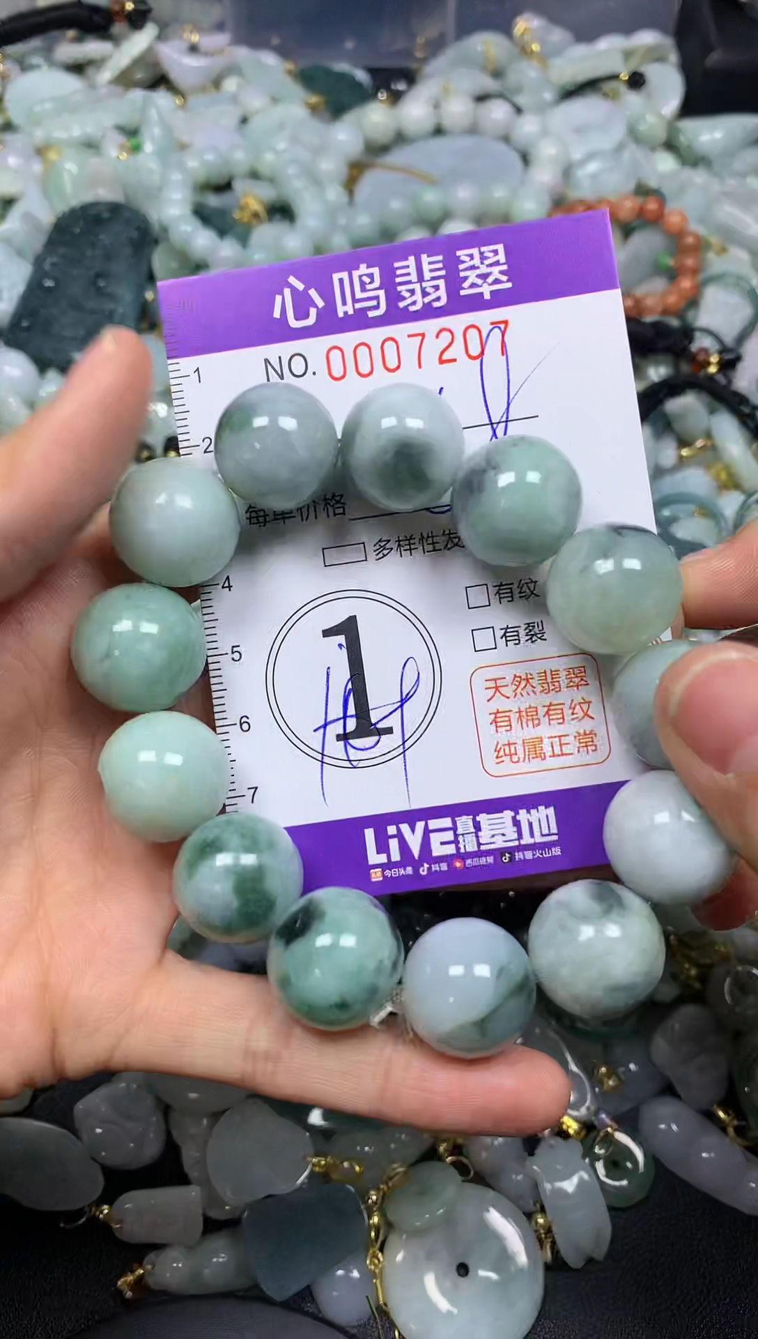 【闪购商品】翡翠颈饰未镶嵌闪购007207