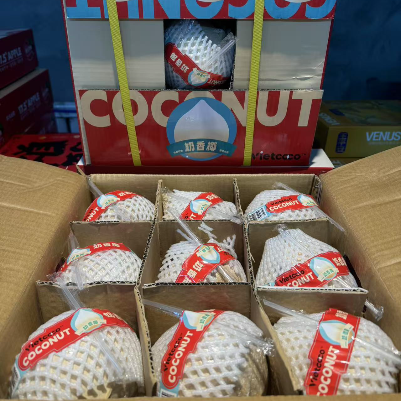 《老三》奶香椰一箱4枚 单果500g左右 包邮